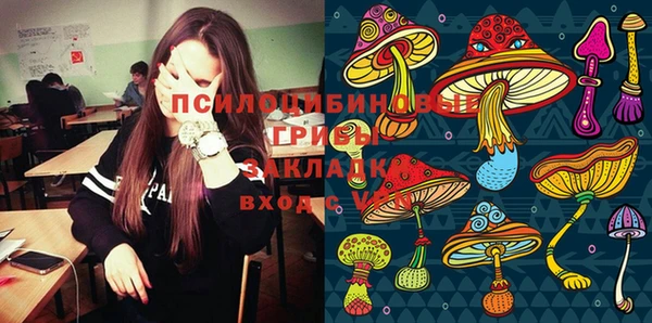 шишки Медногорск