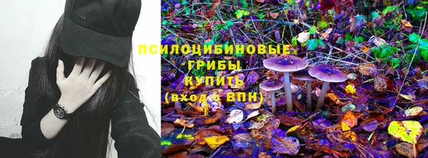 экстази Михайлов