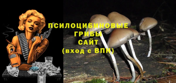 2c-b Михайловск