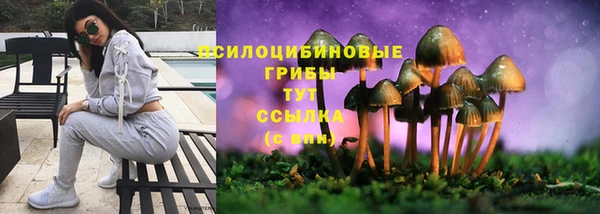 Альфа ПВП Медвежьегорск