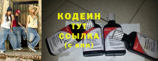 шишки Медногорск