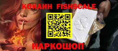 стаф Коммунар