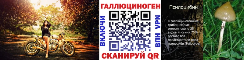 цены наркотик  маркетплейс как зайти  mega рабочий сайт  Галлюциногенные грибы Magic Shrooms  Сыктывкар 
