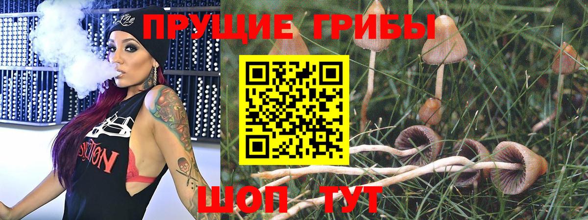 Псилоцибиновые грибы MAGIC MUSHROOMS Сыктывкар