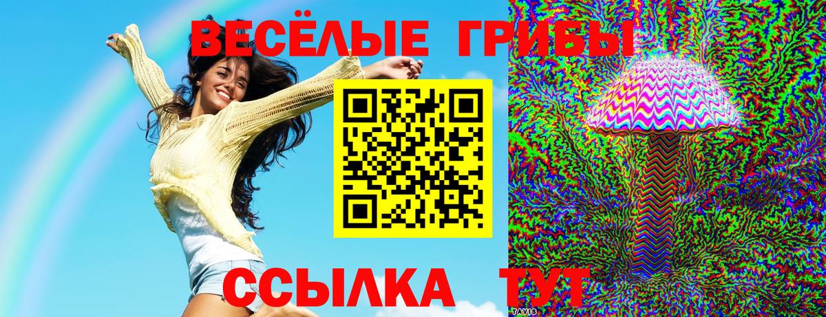 APVP Сыктывкар