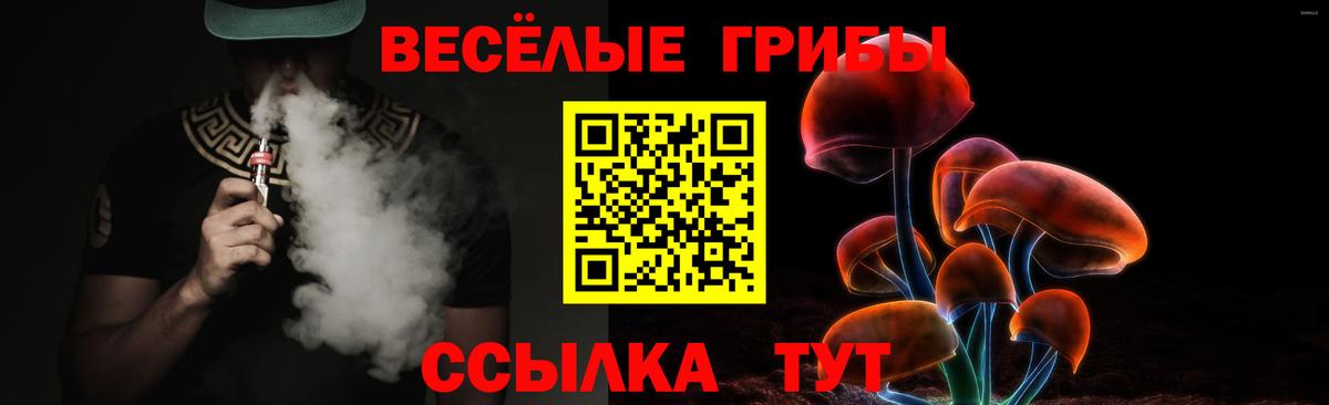 что такое наркотик  Псилоцибиновые грибы мицелий  Вход с VPN  Сыктывкар  Галлюциногенные грибы Cubensis 